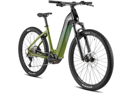 Rower elektryczny BESV TRX 1.1