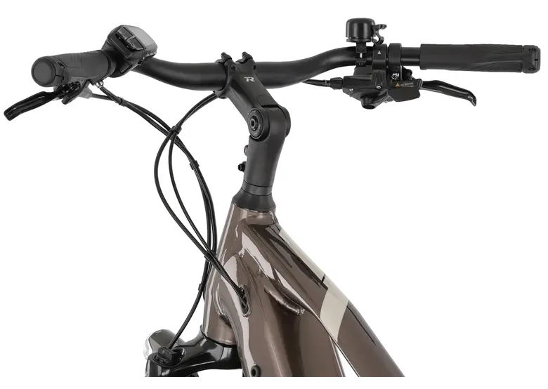 Rower elektryczny R-RAYMON TourRay E 5.0 9S M350 - obrazek 11